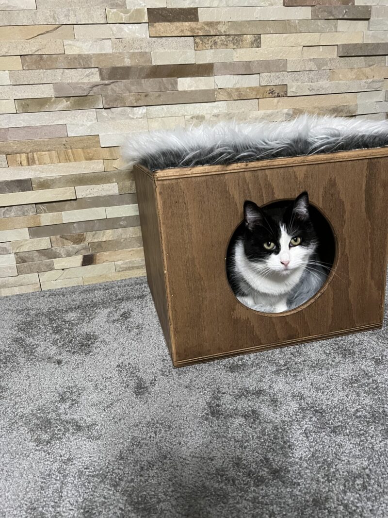 Wooden Cat House (Grey) - Image 5