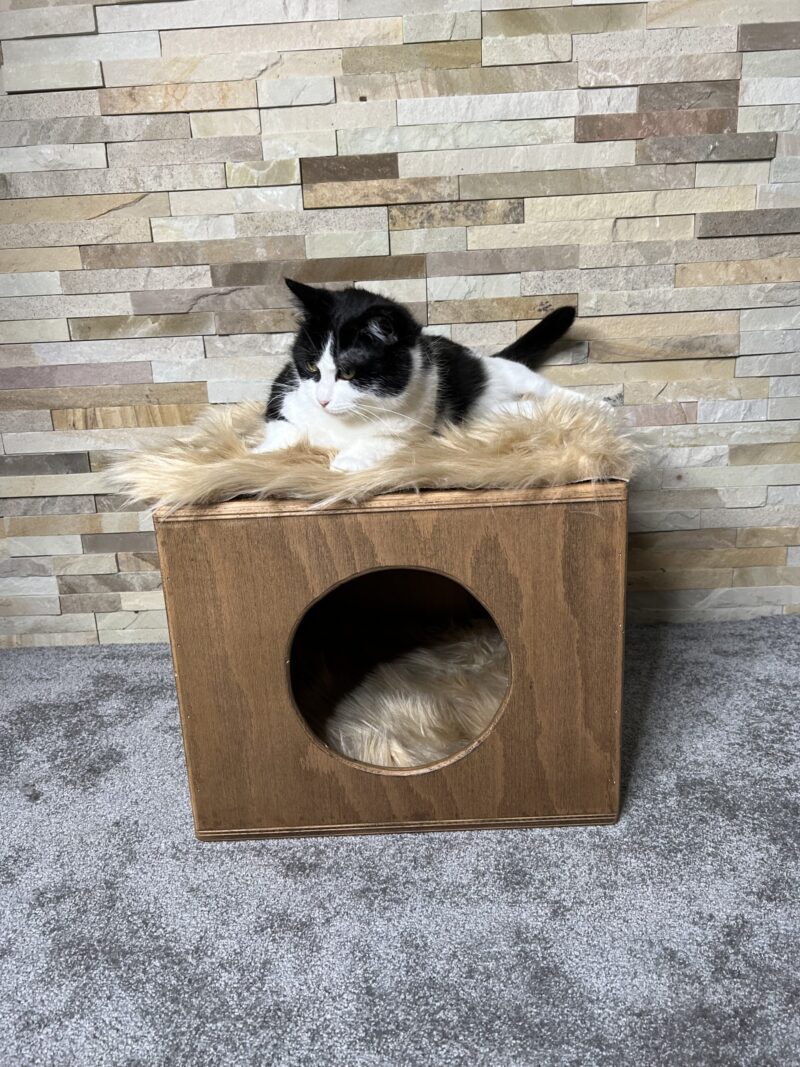 Wooden Cat House (Beige) - Image 4