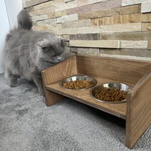 Wooden Cat Bowl 2
