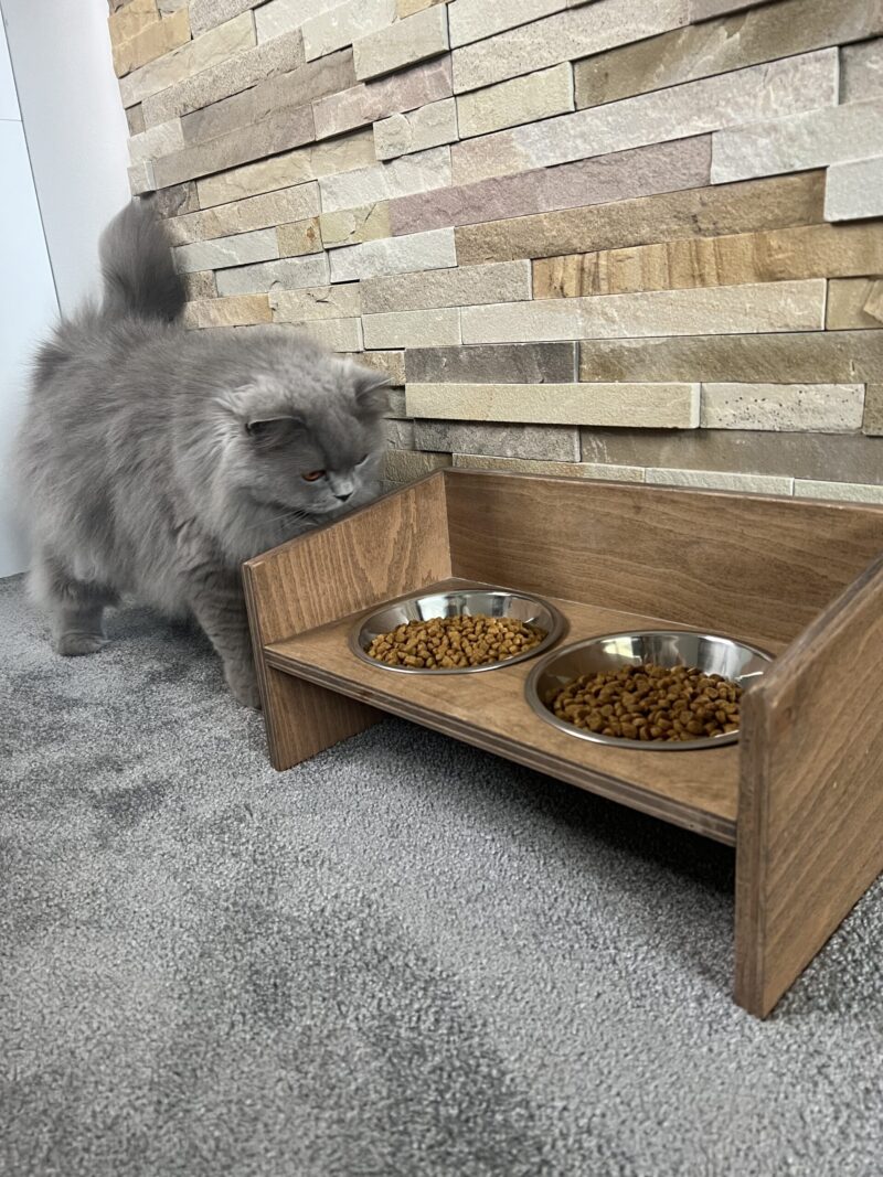 Wooden Cat Bowl 2