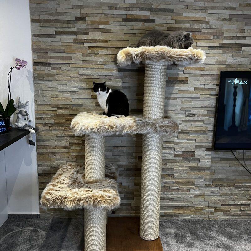 Cat Tree / Cat Scratcher R4 (Beige)