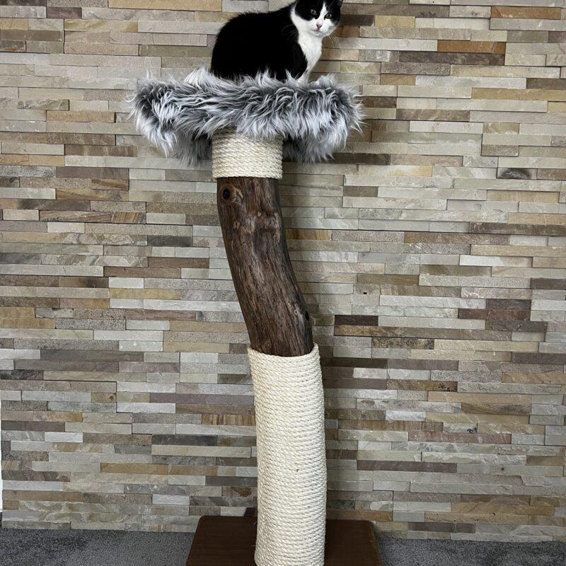 Cat Tree / Cat Scratcher Kojo