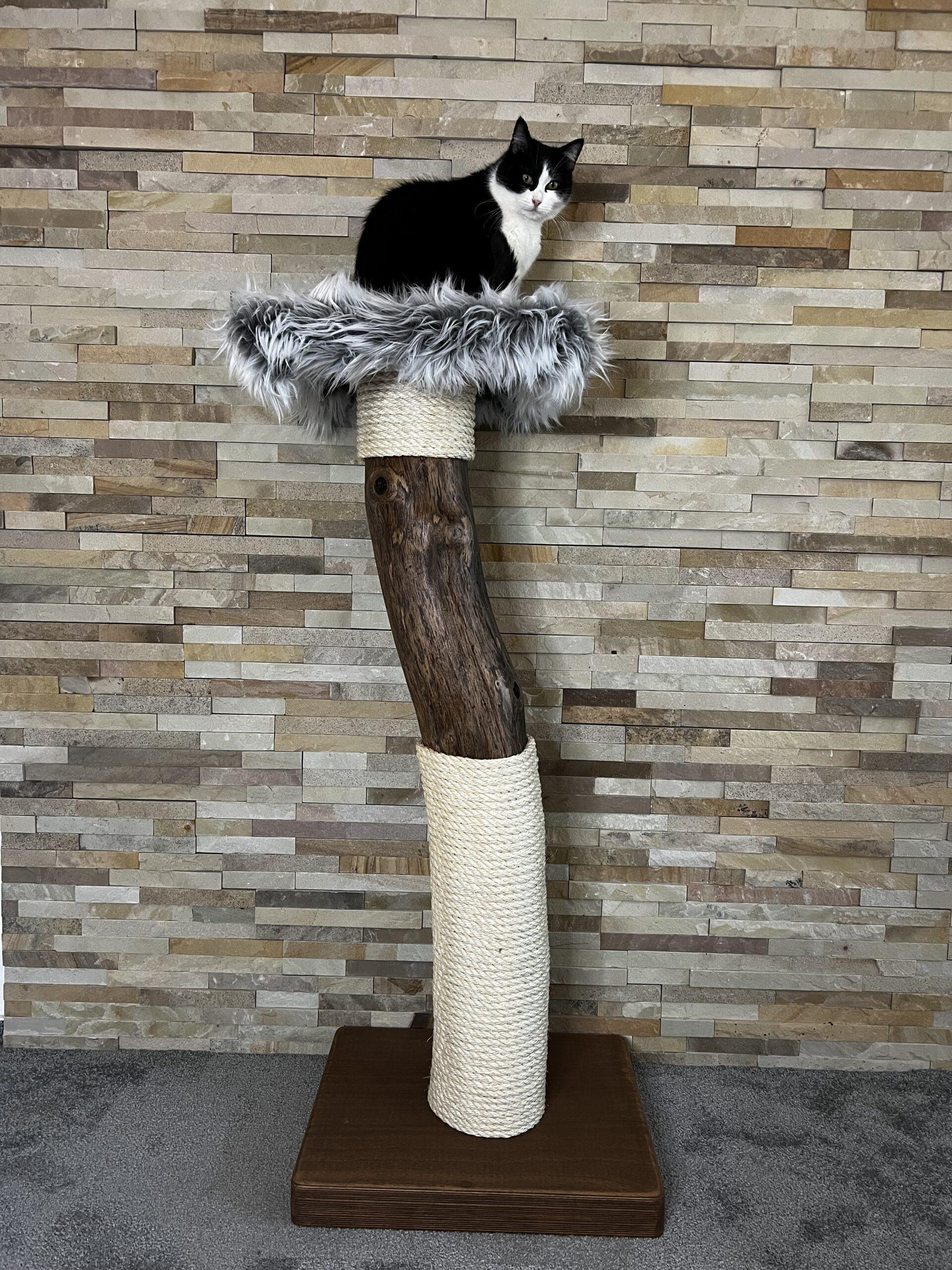 Cat Tree / Cat Scratcher Kojo