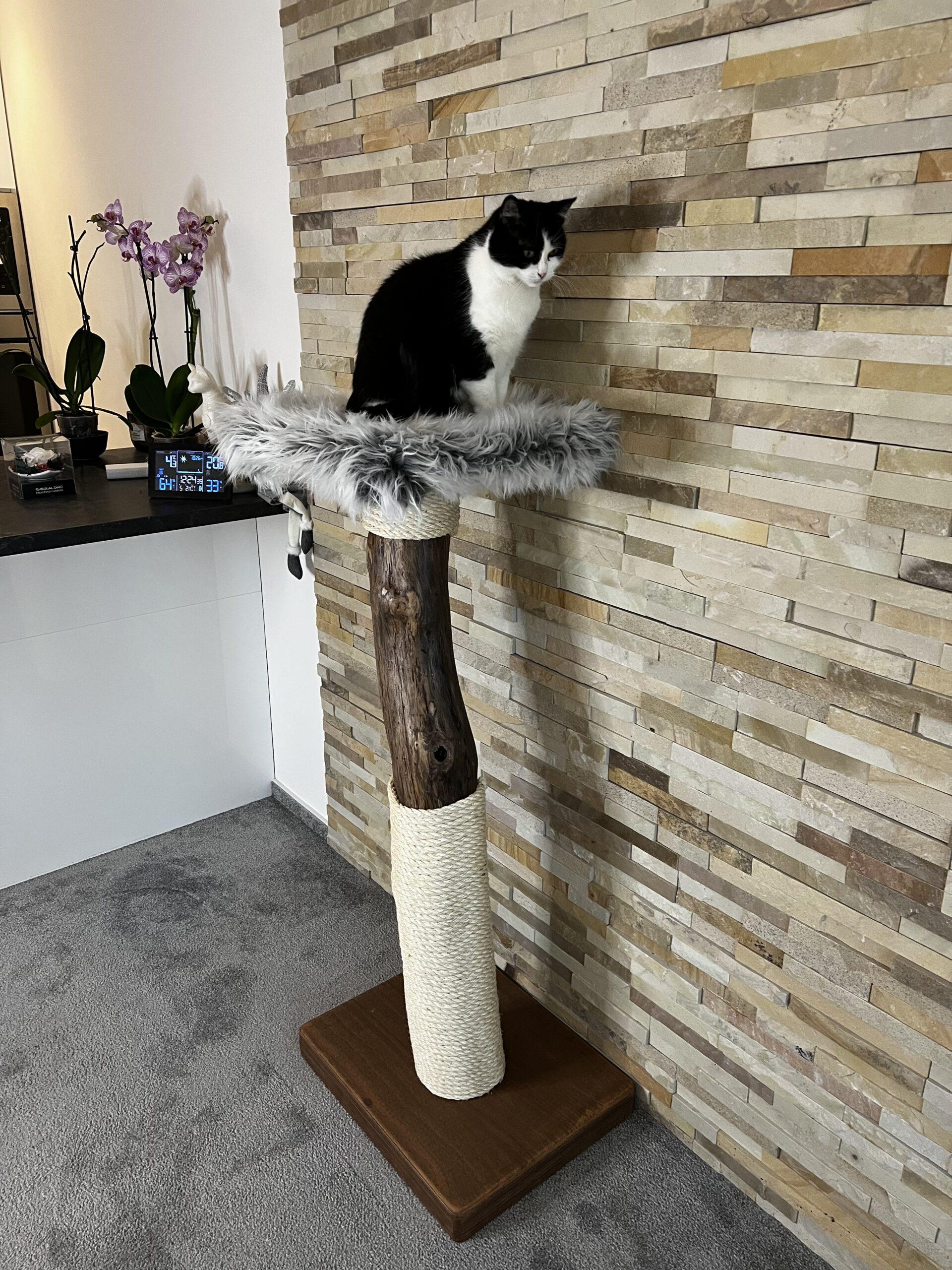 Cat Tree / Cat Scratcher Kojo - Image 2