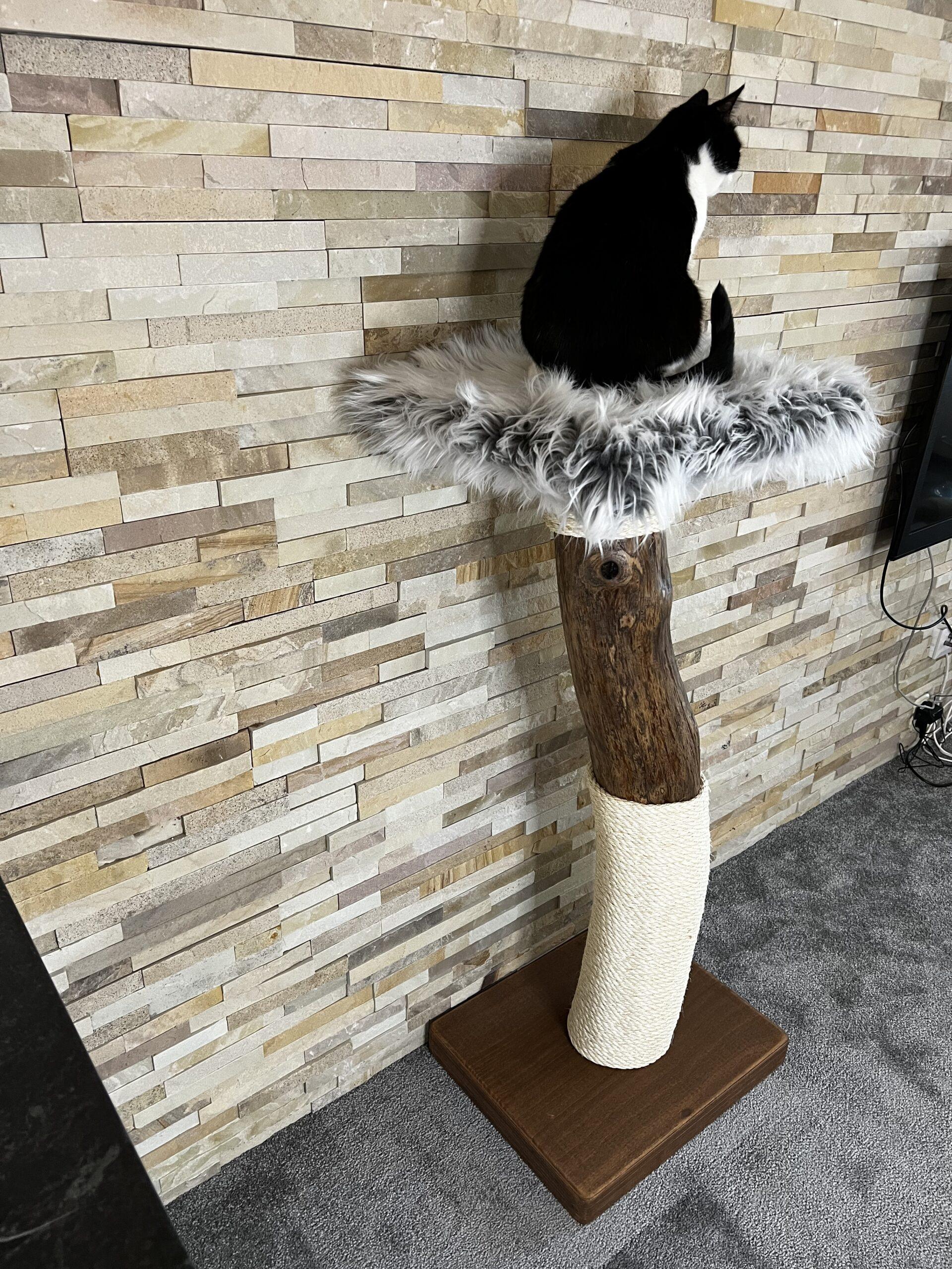 Cat Tree / Cat Scratcher Kojo - Image 3