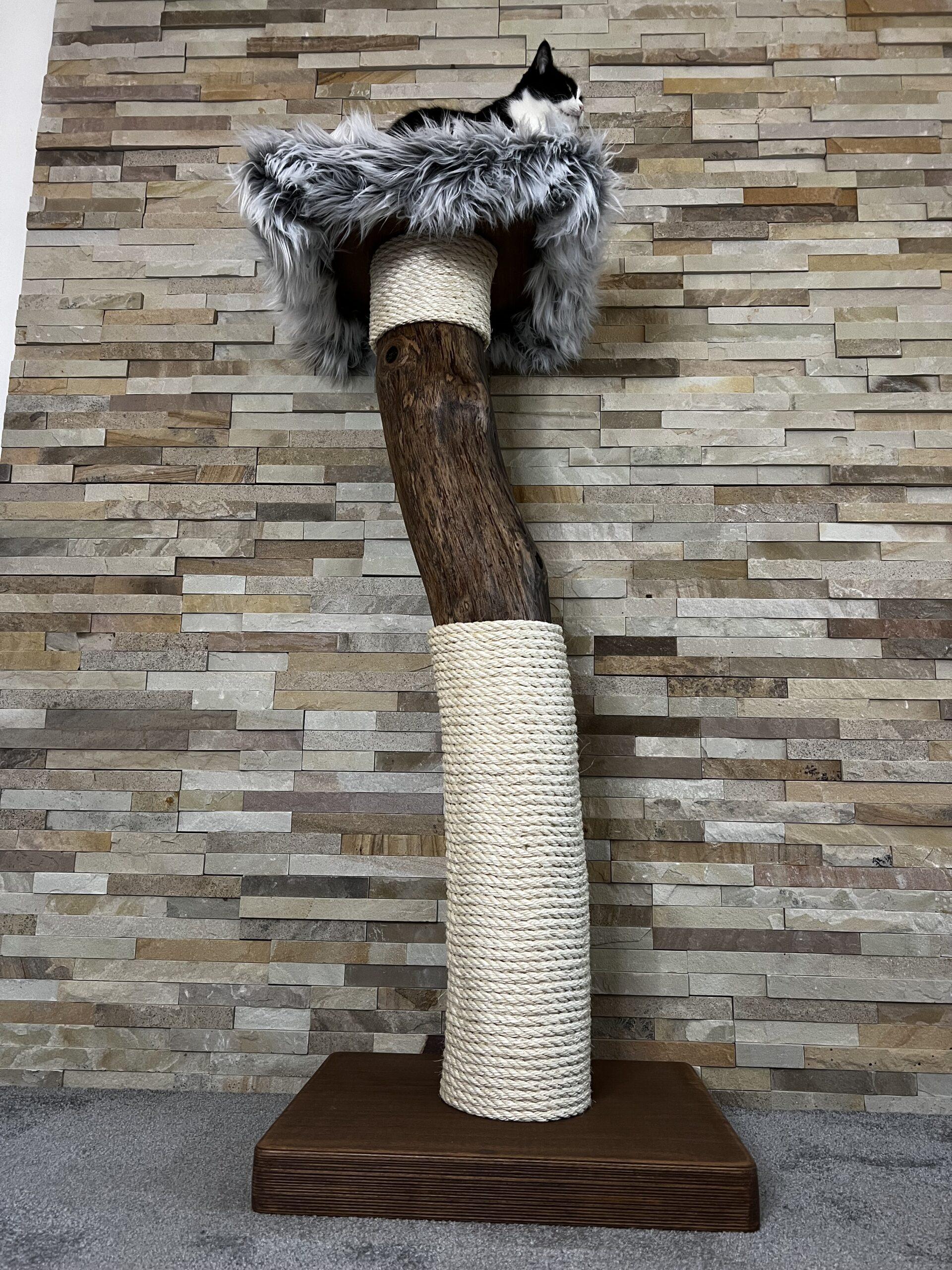 Cat Tree / Cat Scratcher Kojo - Image 6