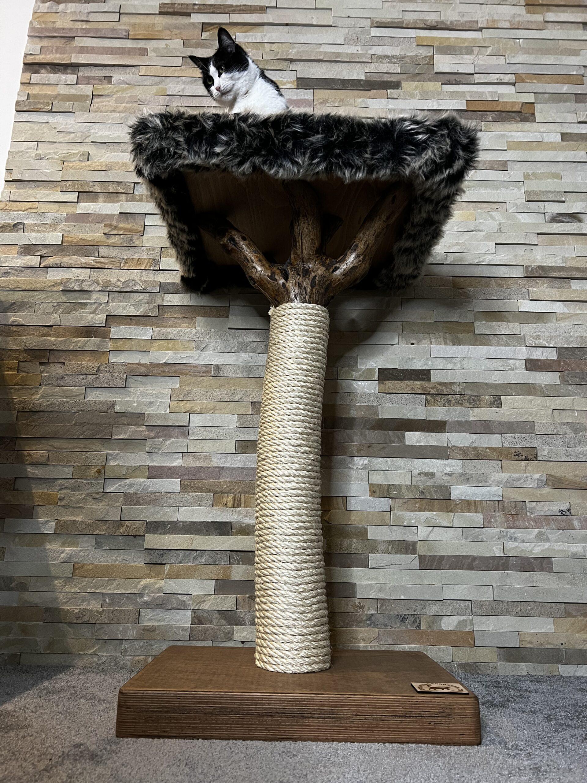 Cat Tree / Cat Scratcher Baobab - Image 6