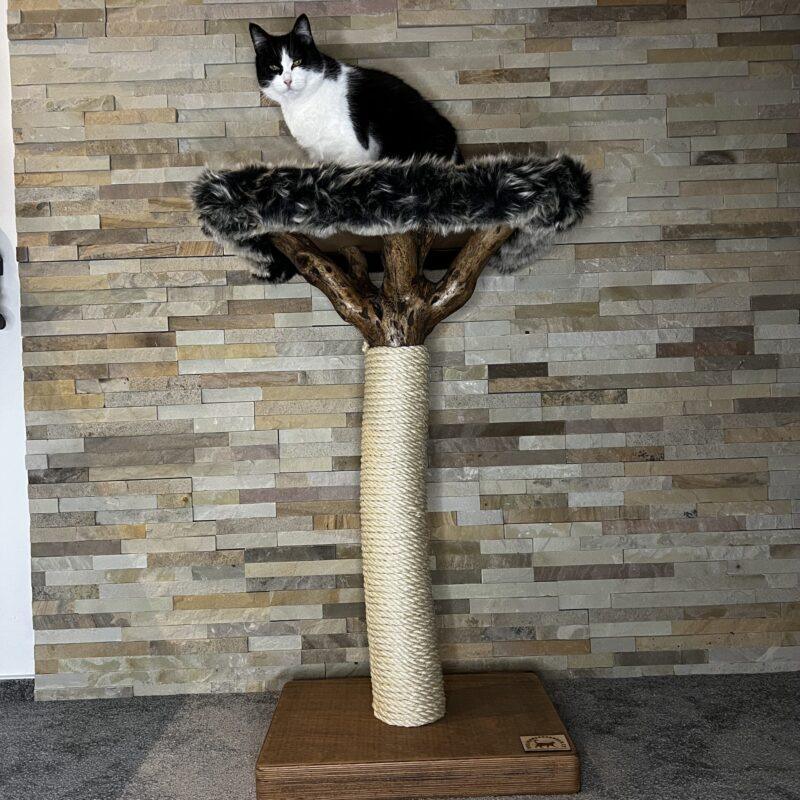 Cat Tree / Cat Scratcher Baobab