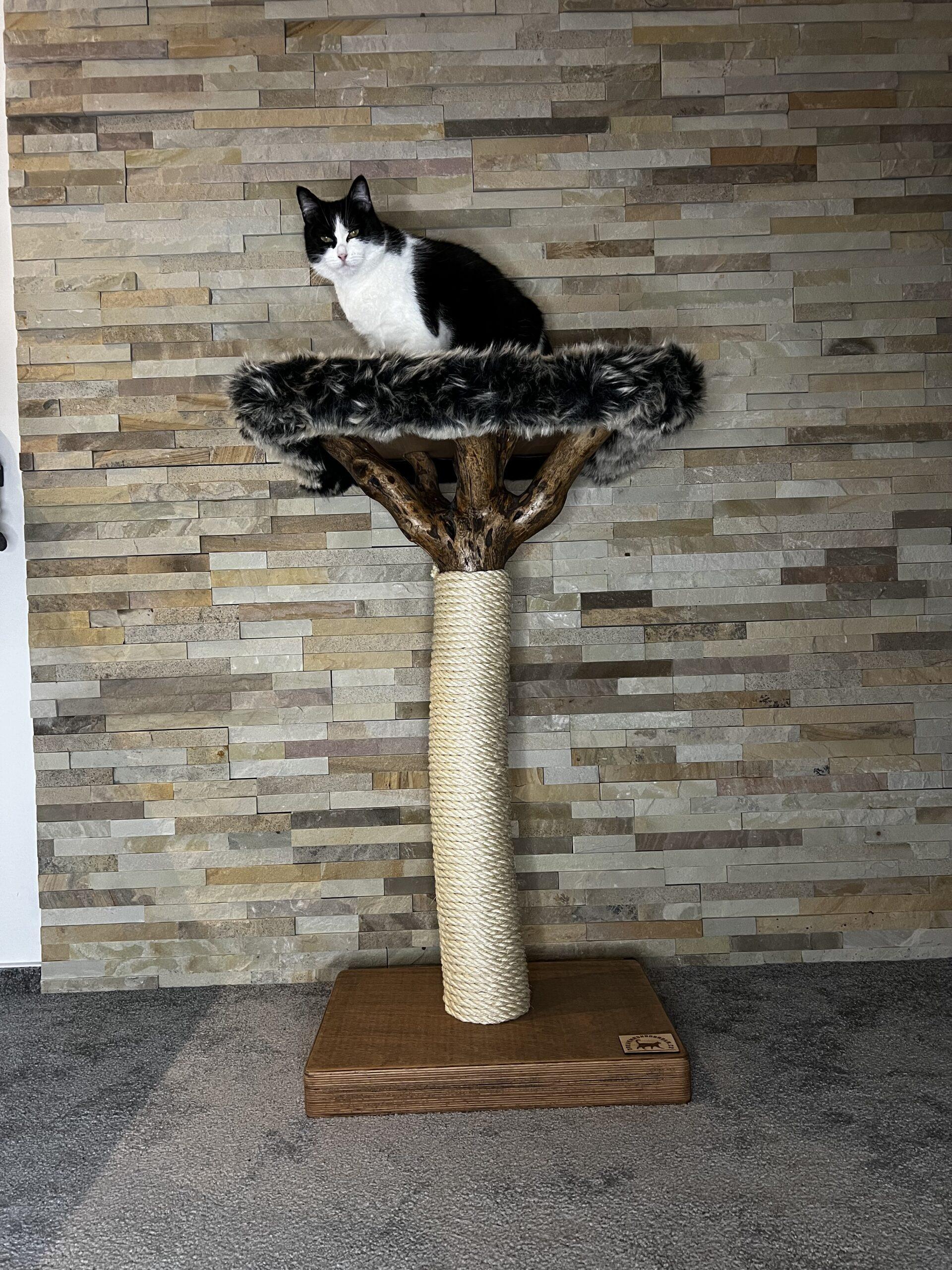 Cat Tree / Cat Scratcher Baobab