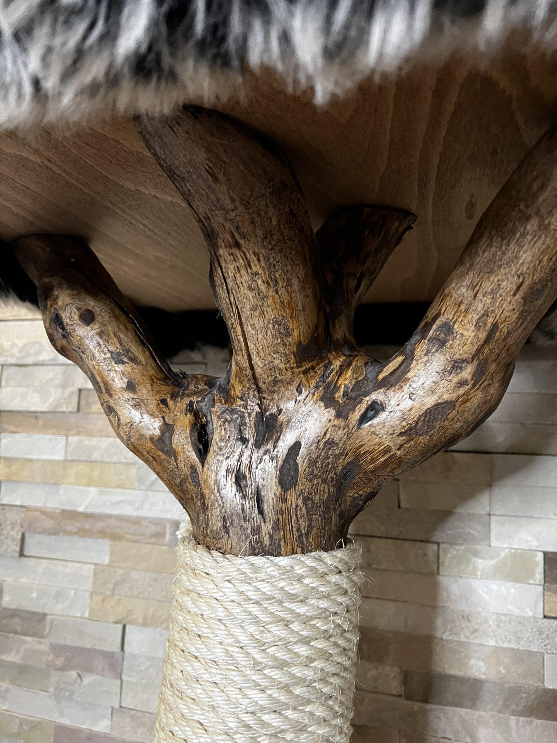 Cat Tree / Cat Scratcher Baobab - Image 3