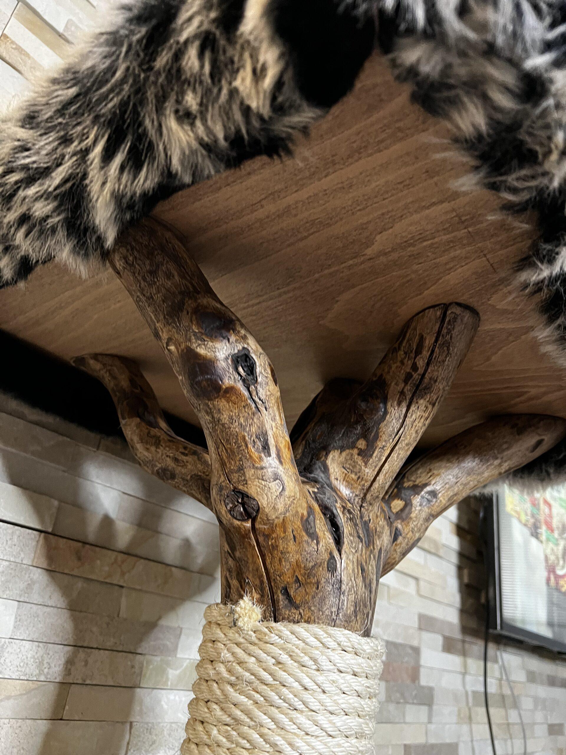 Cat Tree / Cat Scratcher Baobab - Image 2