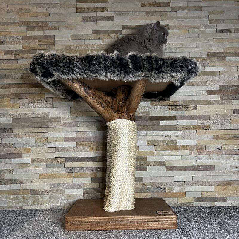 Cat Tree / Cat Scratcher George