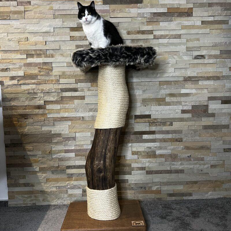 Cat Tree / Cat Scratcher Cigi