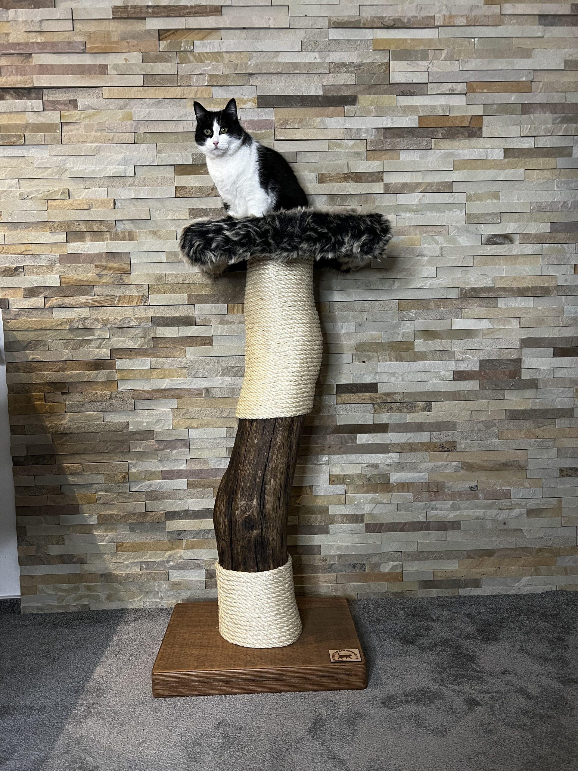 Cat Tree / Cat Scratcher Cigi