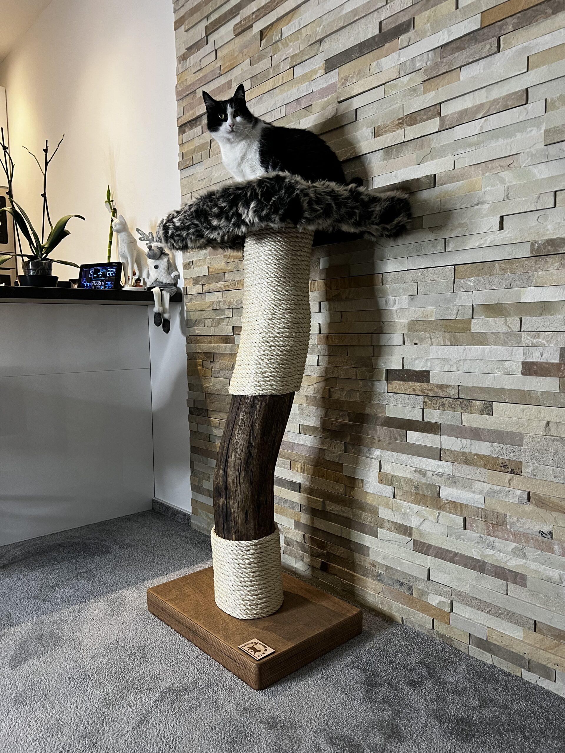 Cat Tree / Cat Scratcher Cigi - Image 5