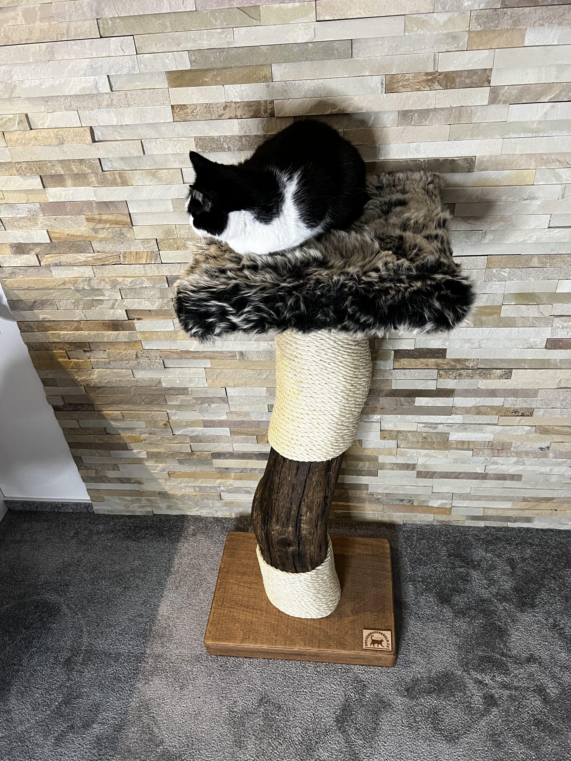 Cat Tree / Cat Scratcher Cigi - Image 2