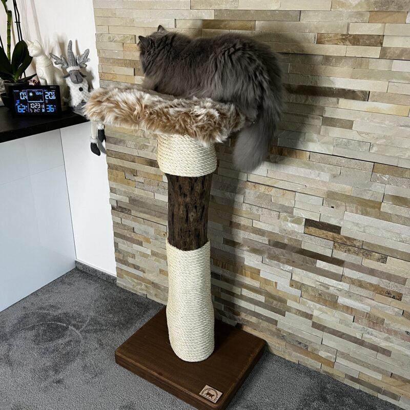Cat Tree / Cat Scratcher Beiger