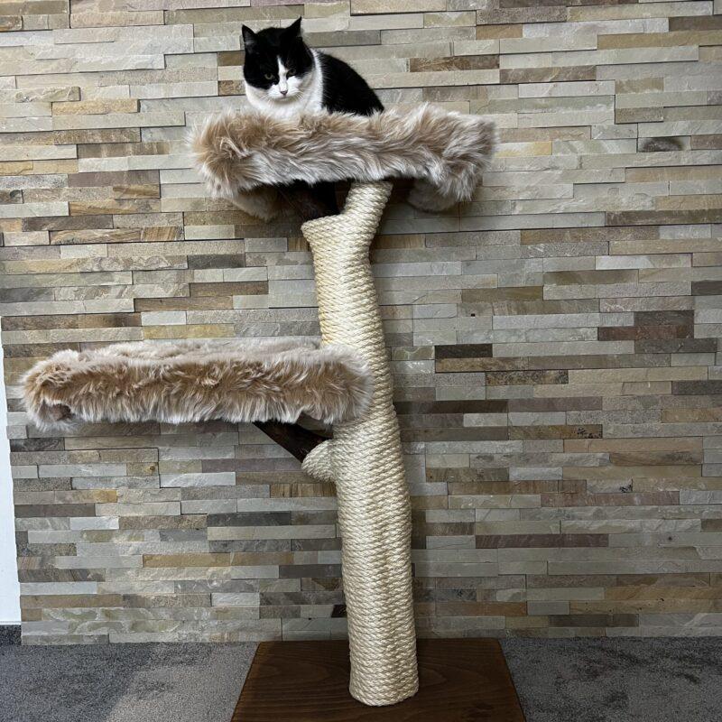 Cat Tree / Cat Scratcher Dumpi