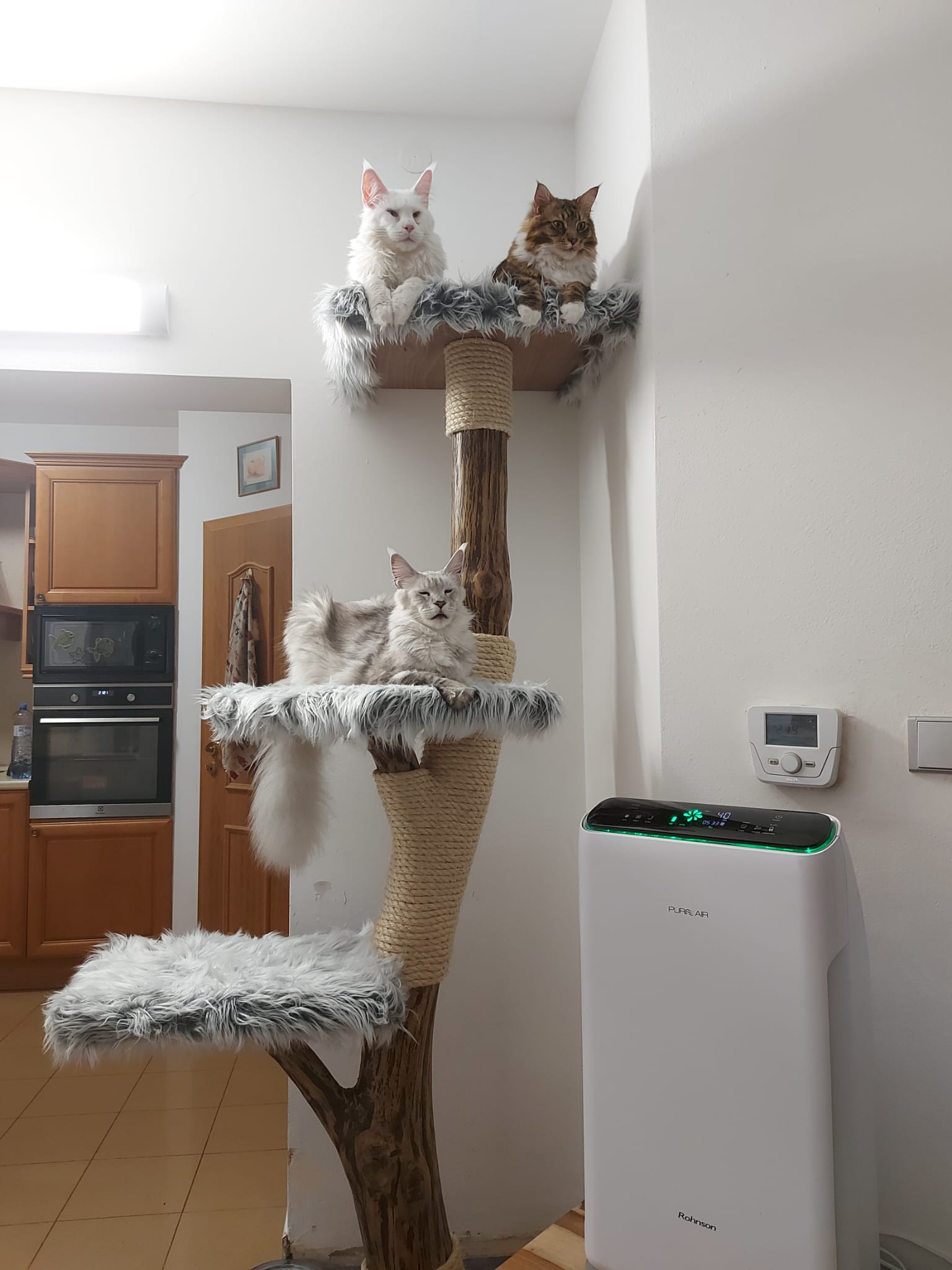 154f5893-8da4-4537-aa84-212efb79e284