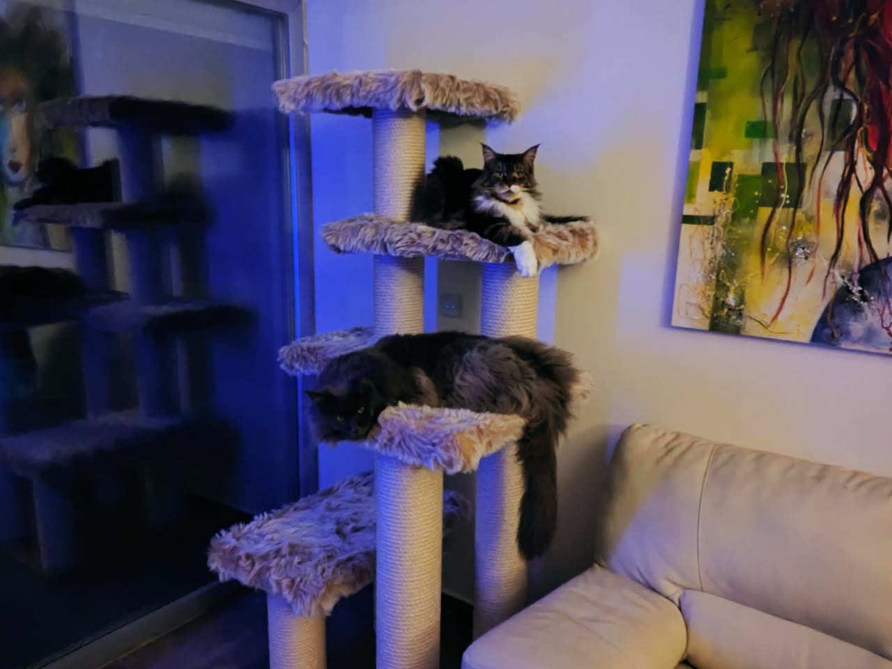 592A1BAE-B8D5-46F4-8AC7-685DAA44363E