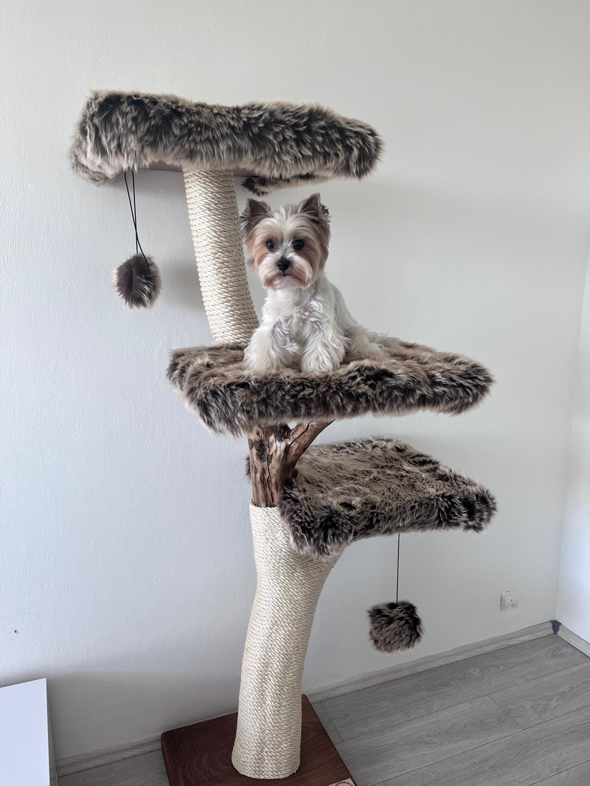 684430e6-caf3-4882-9409-61a9c7dd189e